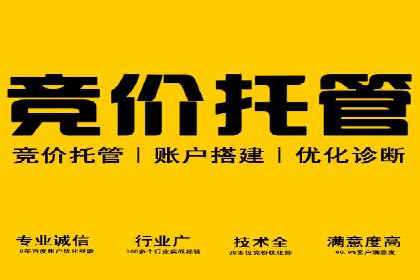 百度搜索推广案例精选：实战经验分享